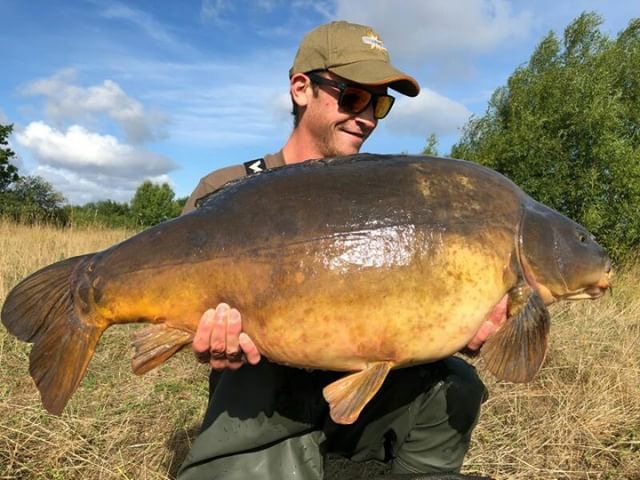 Thames River Carp