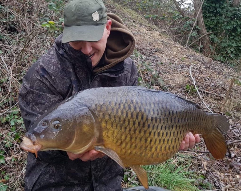 Common from the baited spot