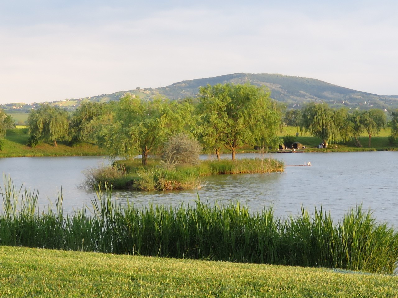 Carp Fishing Hungary